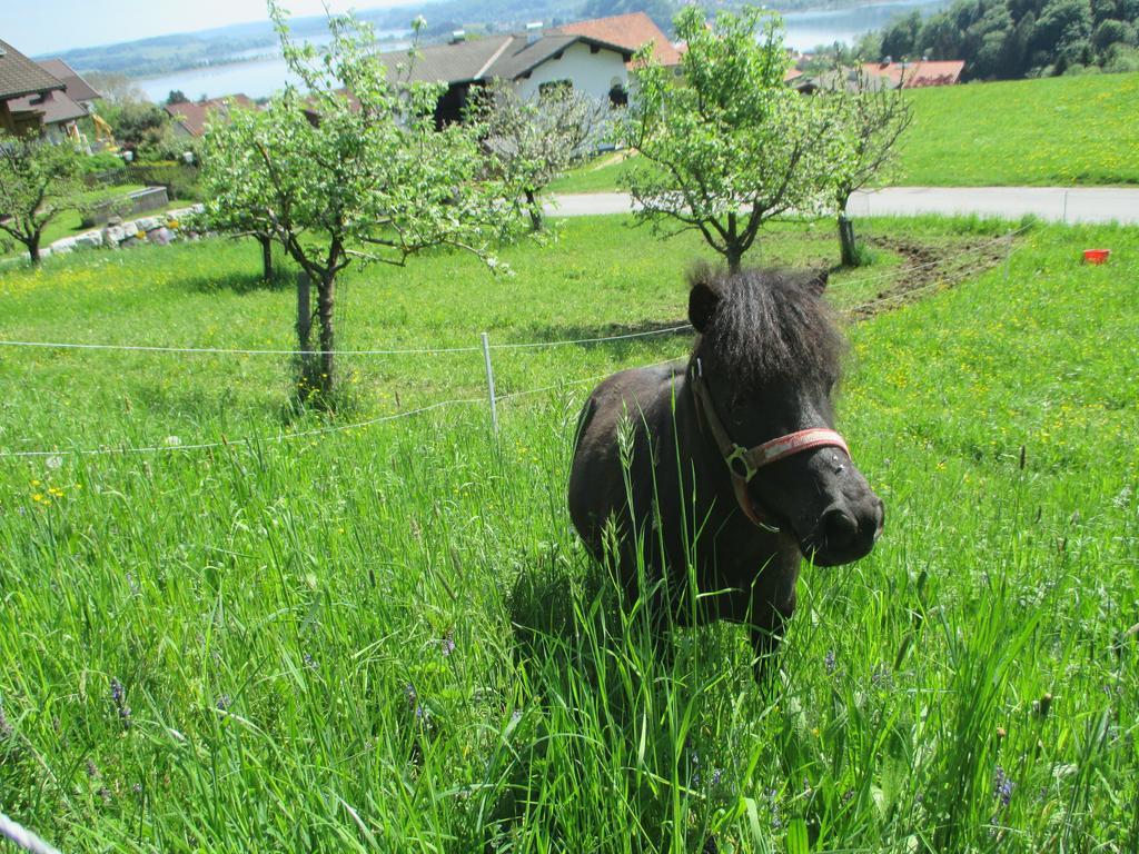 Stiedlbauerhof Vila Seeham Quarto foto