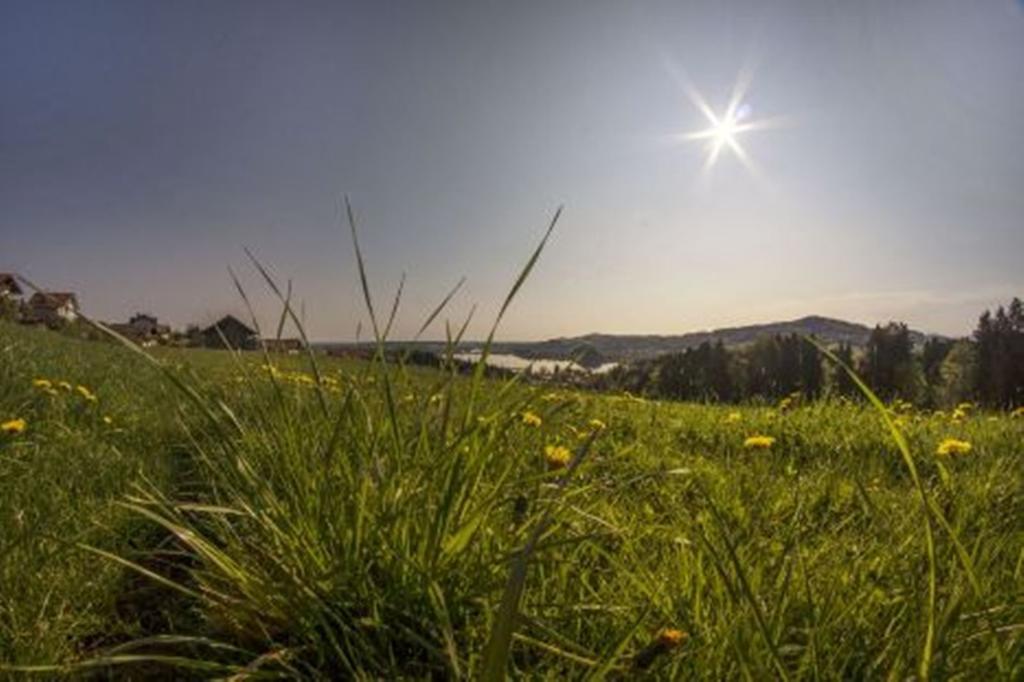 Stiedlbauerhof Vila Seeham Quarto foto